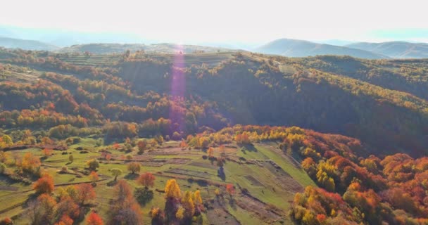 Panoramic Aerial View Forest Autumn Top Mountain — Vídeo de Stock