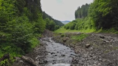 The picturesque landscape mountains are surrounded by forest streams flowing through them