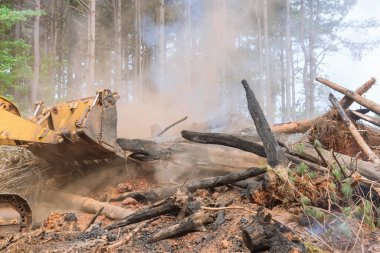 An attempt to develop land for new building, in which be bulldozed heavy equipment will be used, is uprooted and burned during forest the environmental problem