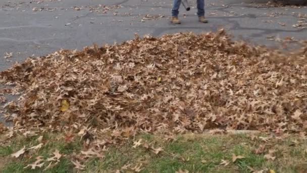 Autumn Worker Municipality Cleans Fallen Leaves Homes Uzing Blower — Vídeos de Stock