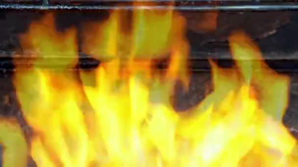 Preparation Fire Bbq Flame Fire Burning Charcoal Log Bonfire Grill — Vídeo de Stock