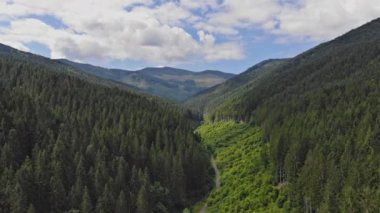 The scenery of mountains is dominated by dense pine forests high up in high altitudes with summer landscape