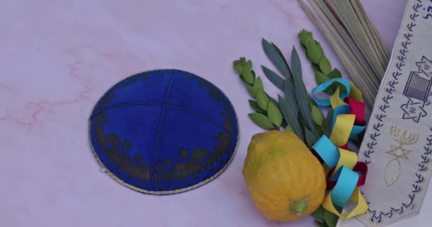 Traditional Symbols Jewish Holiday Used Celebrations Sukkot Etrog Lulav Hadas — Stok video