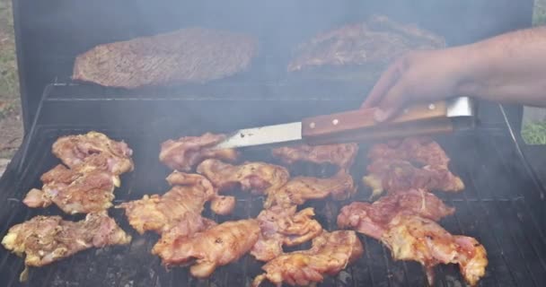 Fried Delicious Dishes Bbq Charcoal Grilled Chicken Meats — Vídeo de Stock