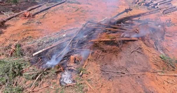 Order Develop Land Construction Necessary Uproot Burn Forest Construction Zone — Wideo stockowe