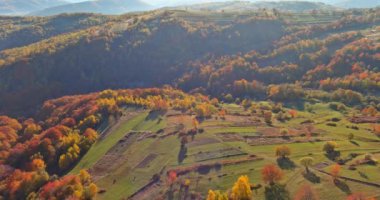 This is panoramic view of an autumn forest landscape from a panoramic mountain amazing scene