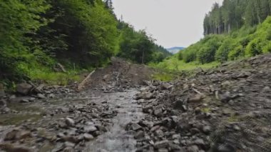 A picturesque streams flows with mountain range surrounds a lush landscape scenery forest
