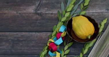 Traditions Jewish holiday celebration of Sukkot amassed with the symbolic elements of etrog, lulav, hadas, and arava