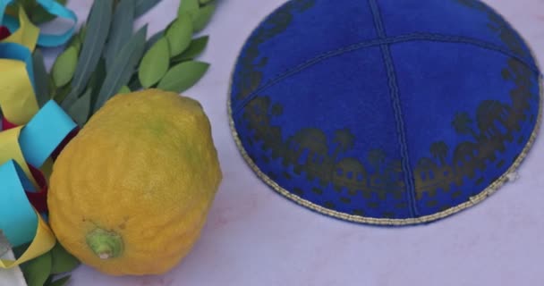 Sukkot Decorations Jewish Holiday Traditional Symbols Lulav Hadas Etrog Arava — Stok video