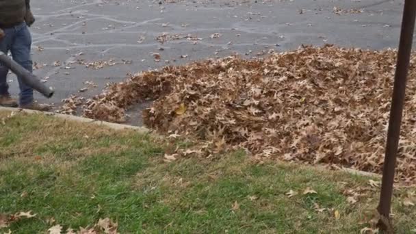 Municipal Worker Cleans Fallen Leaves Houses Autumn Season Uzing Blower — Stock video