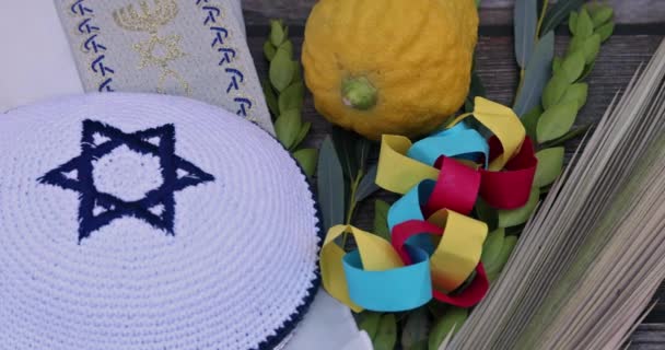 Sukkot Symbols Jewish Holiday Species Etrog Lulav Hadas Arava Well — 图库视频影像