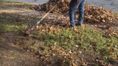 Municipal worker cleaning fallen leaves near houses in autumn