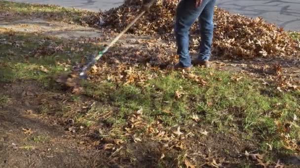 Муниципальный Рабочий Убирает Опавшие Листья Около Домов Осенью — стоковое видео
