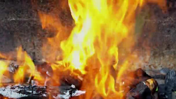 Fire Used Basis Bbq Cook Flames Generated Burning Charcoal Logs — Stock videók
