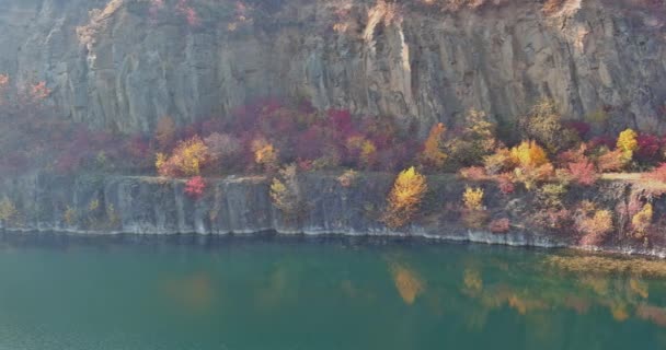 View Quarry Pond Formed Mining Stone Overgrown Green Plants Clear — Vídeo de stock