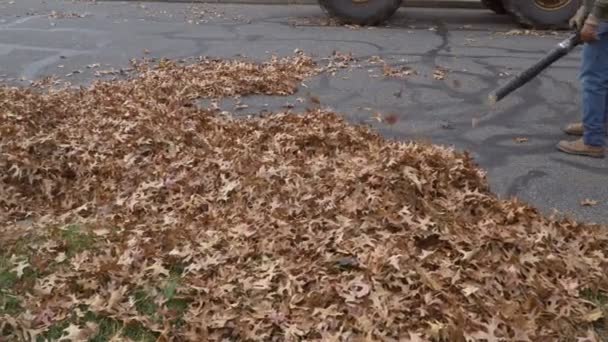 Fallen Leaves Houses Being Cleaned Municipal Worker Uzing Blower Autumn — ストック動画