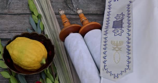 Traditional Festival Jewish Holiday Decorations Sukkot Species Etrog Lulav Hadas — Stockvideo