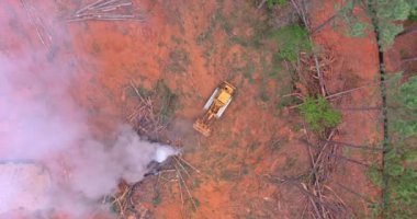 Clearing land from roots for a subdivision using tractors skid steers near forest with uprooted and burning the forest an environmental problem