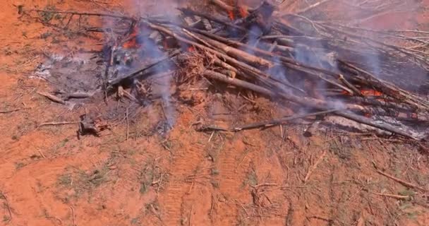 Forests Uprooted Process Developing Land Construction Burned Make Way New — Wideo stockowe