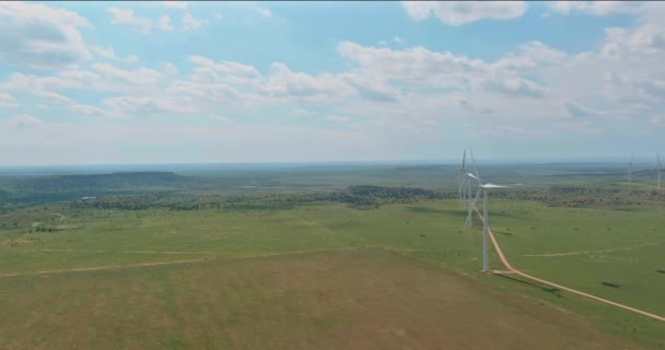Row Windmill Renewable Energy Turbines Wind Farm Generate Electricity Texas — Stockvideo