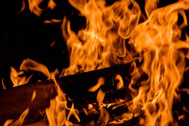 Wood-fired pizzas are traditionally made using firewood ovens with blazing fires at the heart