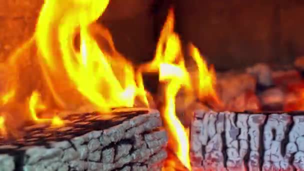 Wood Fired Pizza Traditional Firewood Oven Has Fire Blazing Flames — Vídeo de stock