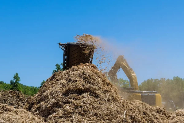 As part of the preparation for housing development, shredder machine is used to shred roots the trees into chips with an industrial shredder to land clearing property