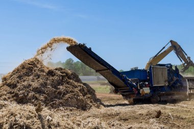 Konut geliştirme hazırlıkları için yerde parçalara ayrılan köklü ağaçlar sanayi parçalayıcı makinesiyle arazinin temizlenmesi için öğütülüyor.