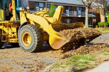 Sonbahar mevsiminde, şehrin dört bir yanından gelen işçiler evlerin yakınında birikmiş yaprakları toplamak için buldozer kamyonları kullanıyorlar..
