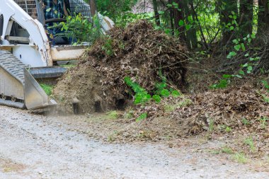 Peyzaj, dünyayı hareket ettirmek için atlatma haber kullanan buldozer görevi görüyor.