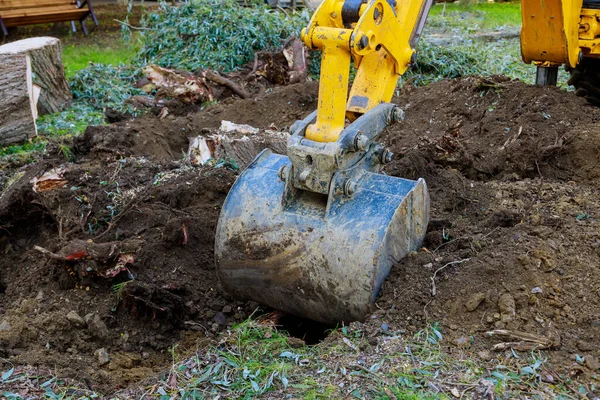 Trabajo Bulldozer Raíces Tocones Eliminación Árboles Que Cortó Tierra Limpieza — Foto de Stock
