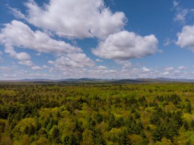 Arka planda bulutlu gökyüzünde dağın tepesinden orman