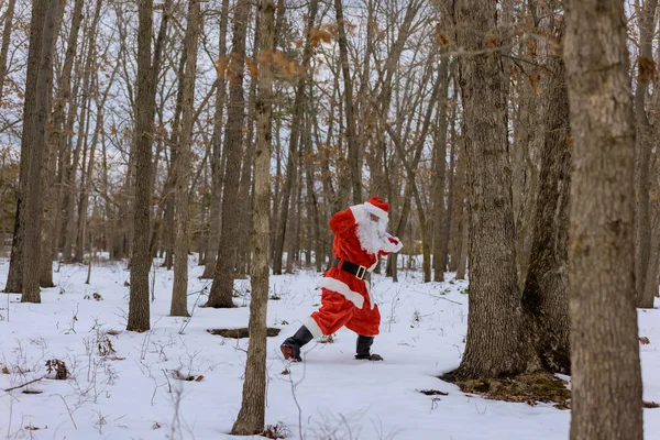赤いバッグクリスマスプレゼントを手に サンタクロースは白い雪景色の周りの森を歩く — ストック写真
