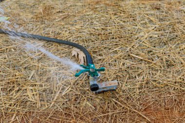 Yeni evin yakınındaki bahçe düzenlemelerinde çimenleri ve fıskiyeleri sulamak.