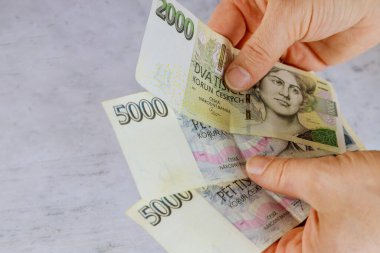 Çek Cumhuriyeti 'nde adam Çek Koruna banknotlarını tutuyor ve sayıyor