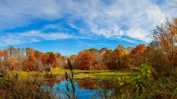 Gibt Einen See Der Nähe Eines Herbstwaldes Die Blätter Ihre — Stockfoto