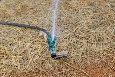 Yeni evin yakınındaki su deposu için çim püskürtücü kullanılarak bahçe düzenleme işlemi