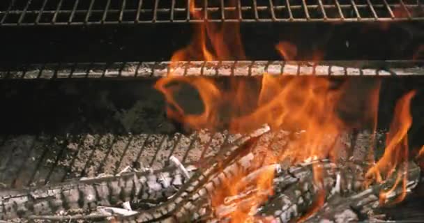 Utilizando Fuegos Ardientes Leña Preparar Barbacoa Que Utilizará Para Asar — Vídeos de Stock