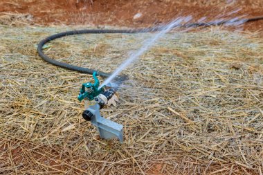 Bahçenin peyzajı çimenlik fıskiyesi kullanılarak Yeni evin yakınındaki çimenleri sulayarak