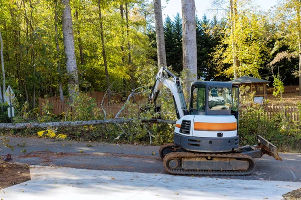 Upadłe Drzewo Burzy Uszkodził Płot Huraganie Wysiedlonych Drzew Spadł Ulicę — Zdjęcie stockowe