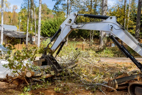 Upadłe Drzewo Huraganie Wykorzeniło Drzewa Pobliżu Domu Drzewa Spadły Ulicę — Zdjęcie stockowe