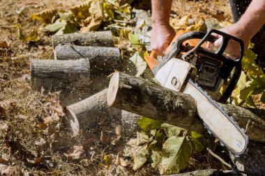 Şiddetli kasırga sonrasında, belediye çalışanı parktaki kırık ağacı keser ve söker..