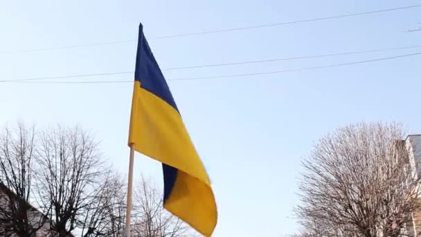 乌克兰黄色的蓝旗在风中飘扬 乌克兰在街上的国家象征 — 图库视频影像