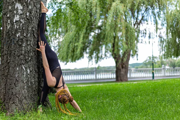 Rastalı Yoga Yapan Kadın Ardha Adho Mukha Svanasana Nın Yeşil — Stok fotoğraf