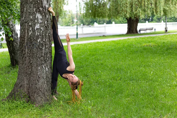 Rastalı Yoga Yapan Kadın Ardha Adho Mukha Svanasana Nın Yeşil — Stok fotoğraf