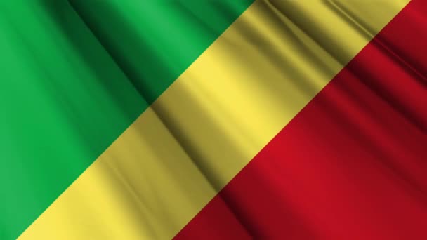 Primer Plano Textura Textil Seda Satén Bandera República Del Congo — Vídeo de stock