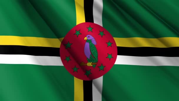 Cerca Tela Textura Realista Tela Seda Satén Bandera Dominica Ondeando — Vídeo de stock