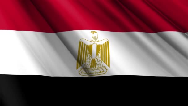 Close Realistica Tessitura Seta Raso Bandiera Dell Egitto Sventolando Sfondo — Video Stock