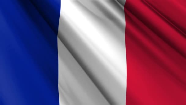 Detailní Realistická Textura Textilní Hedvábí Saténová Vlajka Francie Vlnící Třepotající — Stock video