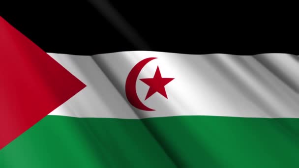 Close Realistische Textuur Zijde Satijnen Vlag Van Westelijke Sahara Zwaaien — Stockvideo
